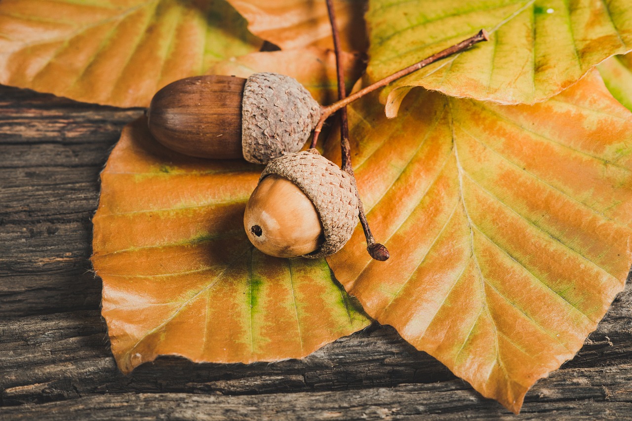 10 Easy Projects for Seasonal Table Decor